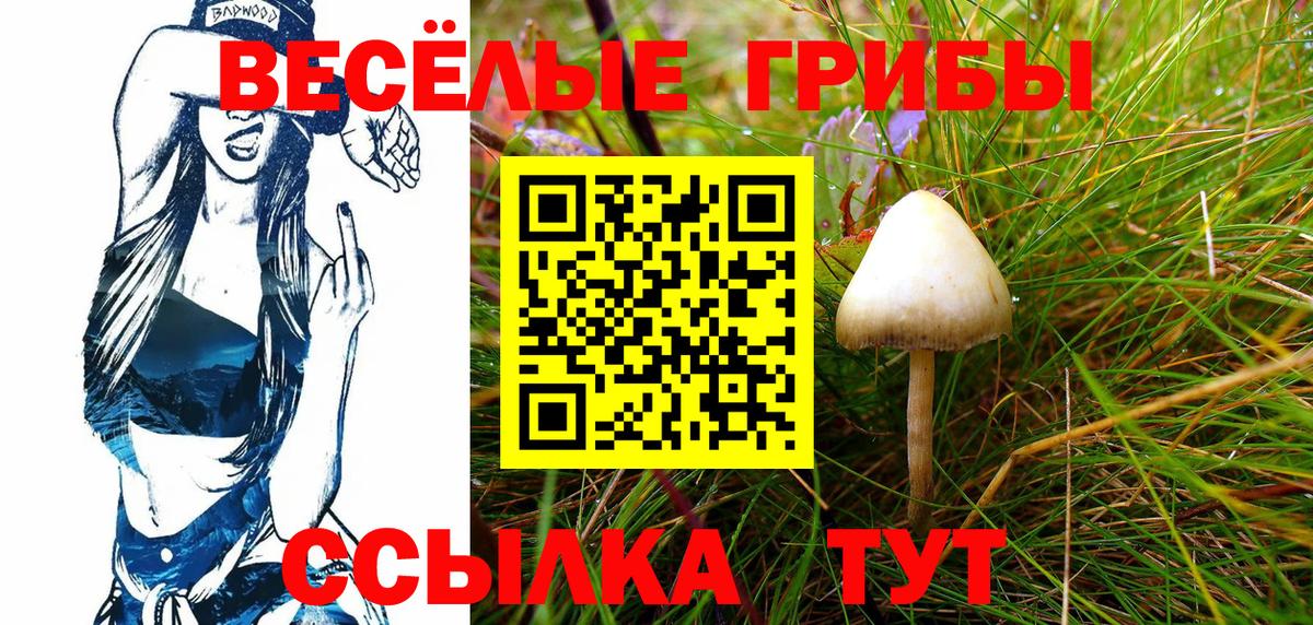 Псилоцибиновые грибы Psilocybine cubensis  Вход с VPN  Гуково 